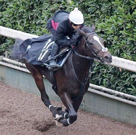 　無傷３連勝での重賞Ｖを目指すエリキング（撮影・石井剣太郎）