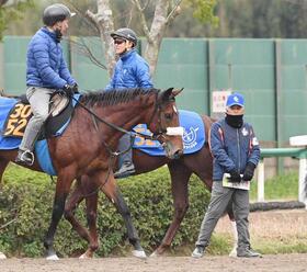 　アロンズロッド（左）ら管理馬を見つめる国枝師