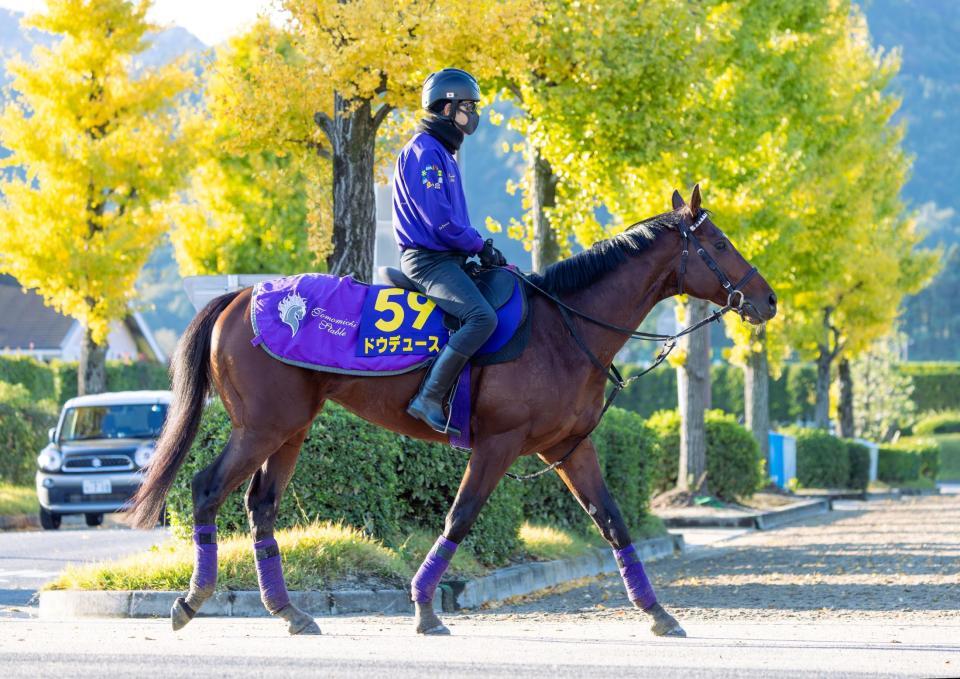 運動するドウデュース