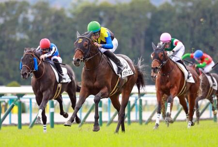 　新馬戦を快勝したネブラディスク（中央）＝撮影・石湯恒介