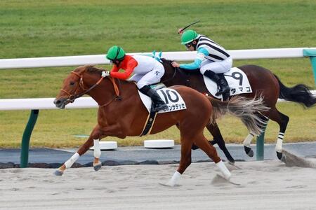 　新馬戦を快勝したセボンサデッセ（撮影・石湯恒介）