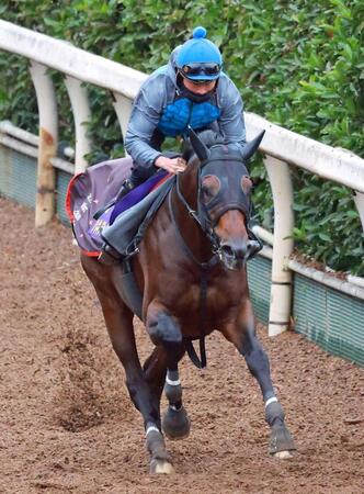 　岩田望を背に順調な仕上がりを示したハギノアレグリアス