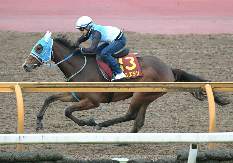 　栗東ＣＷで好ラップを刻んだダンツエラン（撮影・石井剣太郎）