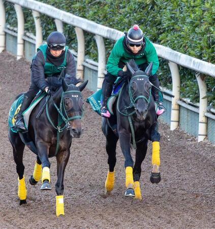 　栗東坂路で追い切るアーテルアストレア（右）＝撮影・石湯恒介