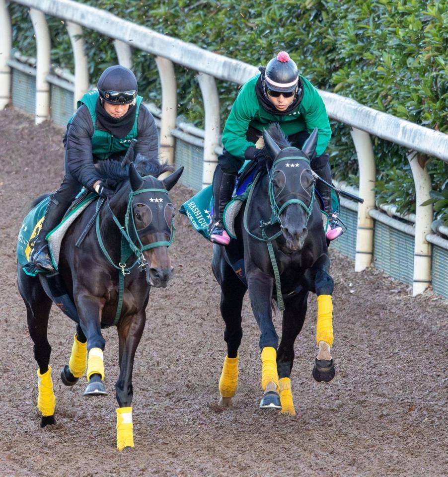 　栗東坂路で追い切るアーテルアストレア（右）＝撮影・石湯恒介