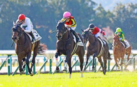 　新馬戦を快勝したマディソンガール（中央）＝撮影・石湯恒介