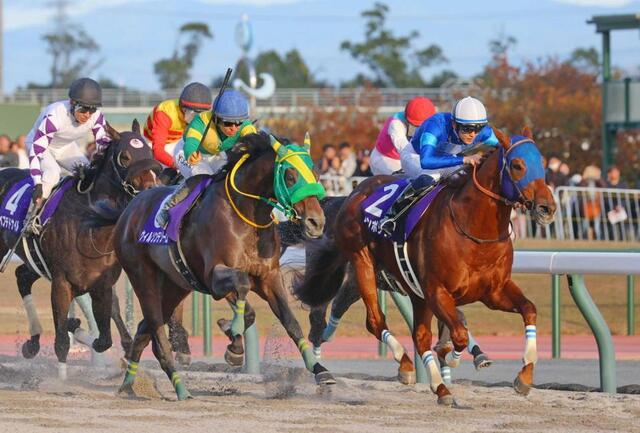 Amazon.co.jp: 競馬 ポスター レモンポップ : ホーム＆キッチン