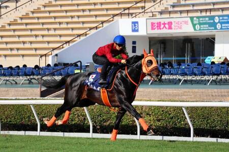 　川田を背にハツラツとした脚取りで駆けたジャンタルマンタル