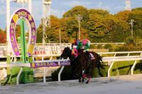 　重賞３連勝を果たしたマルカイグアス（手前）＝撮影・中山伸治