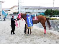 　園田金盃を制覇したマルカイグアス（撮影・中山伸治）