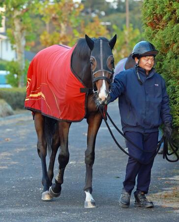 【新馬戦】良血スティレセイル　兄姉にダノンベルーガやボンドガール　福永師も期待「乗りやすくて芝で良さそうな馬」