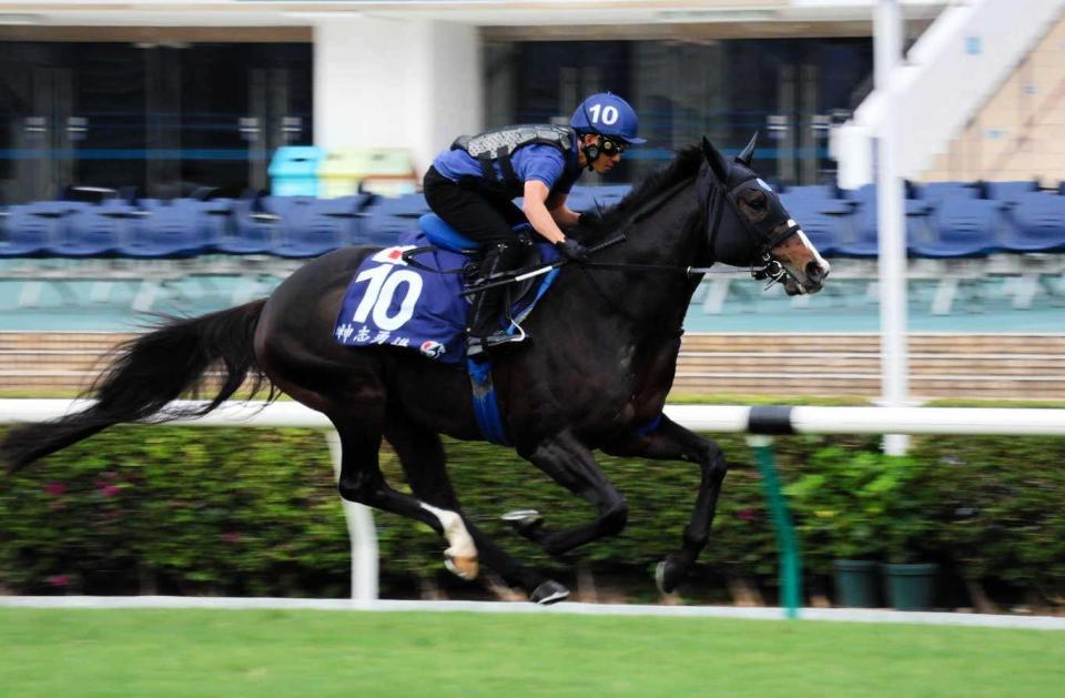 　昨年４着のリベンジに向け順調な仕上がりを見せたソウルラッシュ（撮影・小田穂乃実）