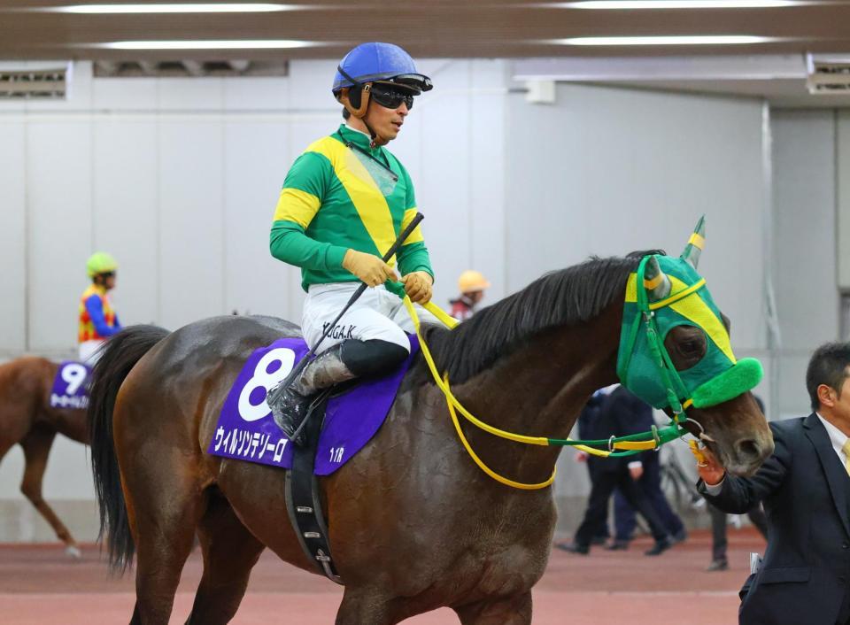 　チャンピオンズＣで２着となり引き揚げるウィルソンテソーロ