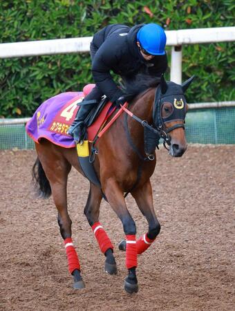 【阪神ＪＦ】カワキタマナレア　あるぞ大駆け　好馬体に杉山佳師「元気をため込んで競馬にいけそう」