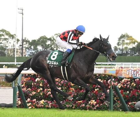 　中日新聞杯を逃げ切って快勝したデシエルト