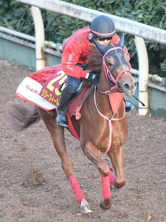 【阪神ＪＦ】馬場状態から浮上するのはこの馬だ