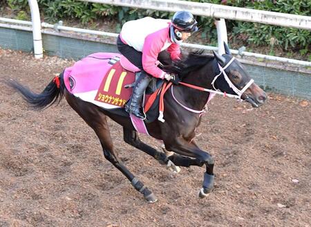 【阪神ＪＦ】展開から浮上するのはこの馬だ