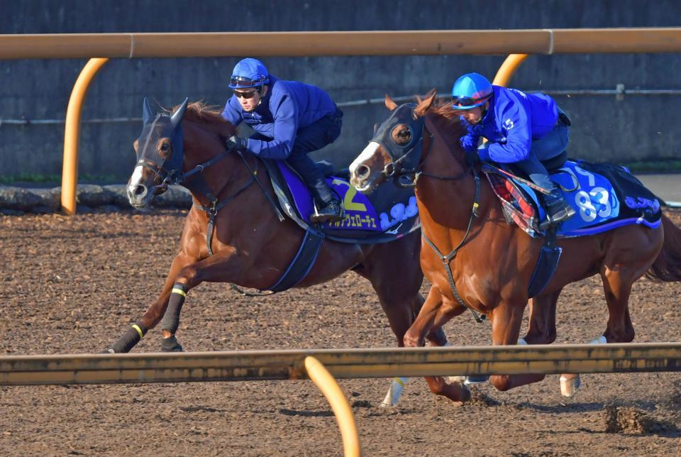 栗東ＣＷで１週前追い切りを行うアルテヴェローチェ（左）