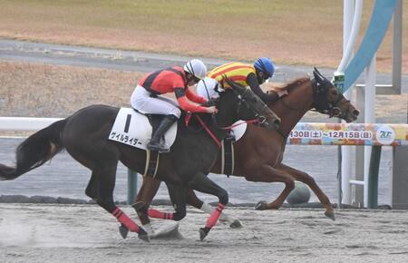 　新馬戦を快勝したトゥロン（右）