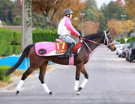 　２戦２勝の無敗馬ビップデイジー