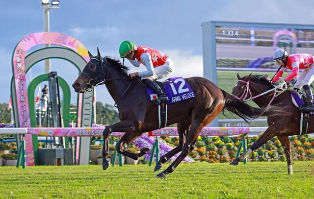 追憶のあのレース 1992年・第44回阪神3歳牝馬ステークスG1