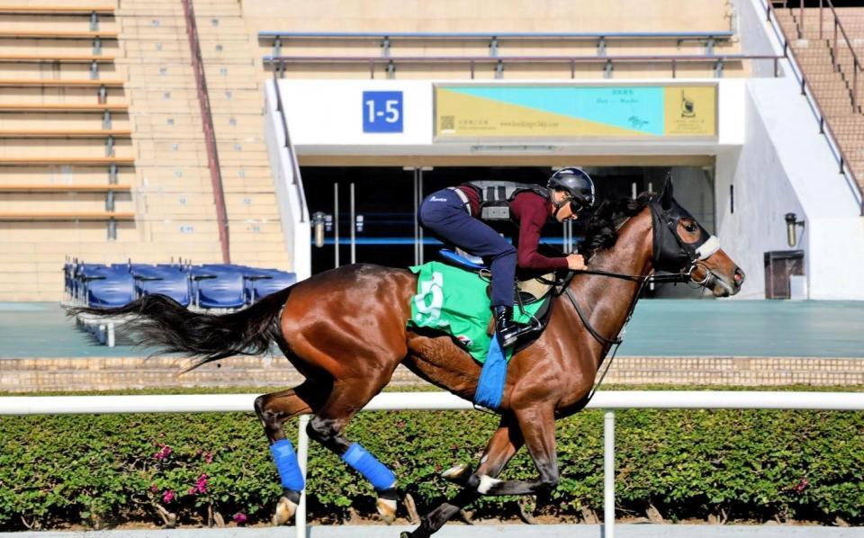 　モレイラを背に好調ぶりをアピールしたステレンボッシュ＝４日