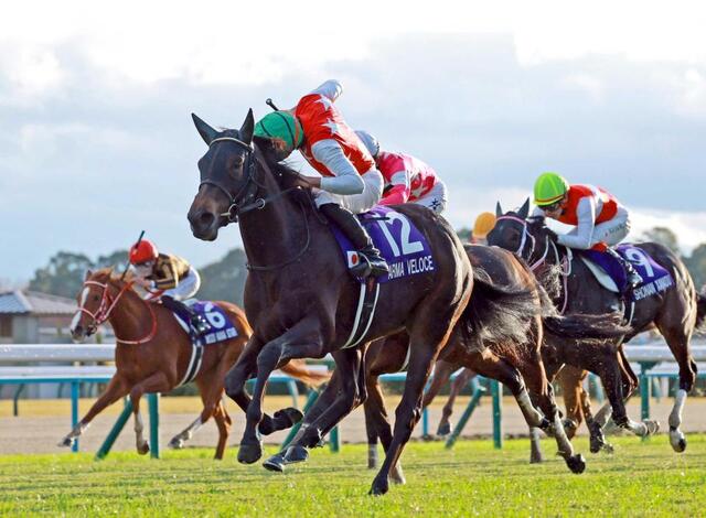 阪神JF】アルマヴェローチェV 岩田望はJRA・G1初制覇 6年目で