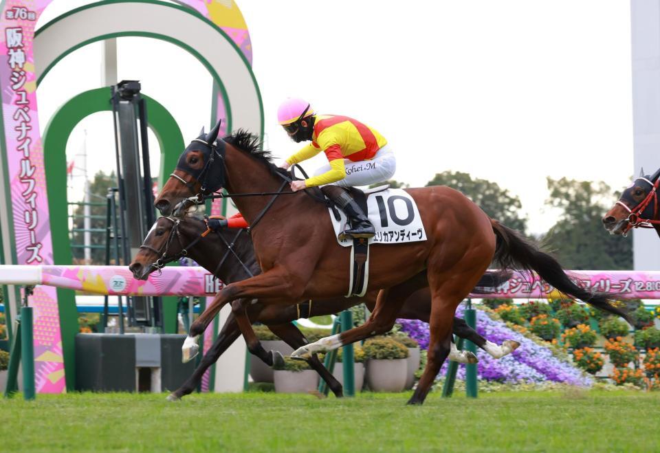 　新馬戦を快勝したエリカアンディーヴ（撮影・石湯恒介）