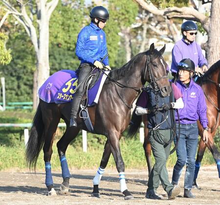 スターズオンアースは川田とのコンビで有馬記念へ　昨年は大外枠から２着好走