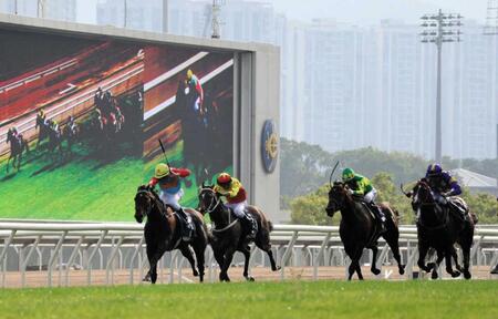 香港馬はなぜ強いのか　８日の香港国際競走Ｇ１・４戦中３勝　現地取材で感じた日本との違い