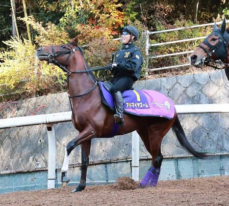 【朝日杯ＦＳ】アドマイヤズームが唯一の減点１　京都マイルで圧勝！鞍上・川田も好相性