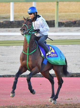 【朝日杯ＦＳ】トータルクラリティ　粗削りでも連勝の中身濃い　北村友「体もシャープに」