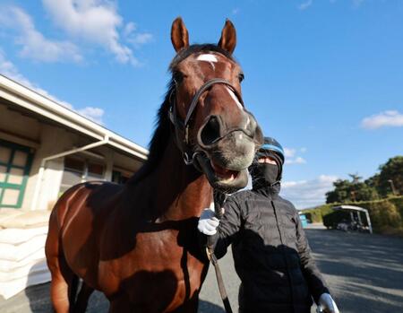 【朝日杯ＦＳ】京王杯２歳Ｓ覇者パンジャタワー　橋口師「すごくいい状態」武器は高い完成度