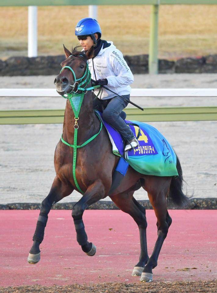 　新潟２歳Ｓ覇者のトータルクラリティ