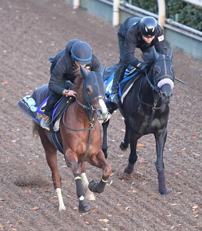 　栗東坂路で先着フィニッシュを決めたアルテヴェローチェ（左）＝撮影・石井剣太郎