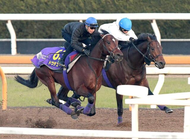 有馬記念】ドウデュース 威風堂々 武豊背に秋古馬3冠で有終の美へ文句
