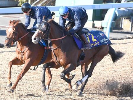 　併せ馬で好仕上がりを示したローシャムパーク（右）＝撮影・園田高夫