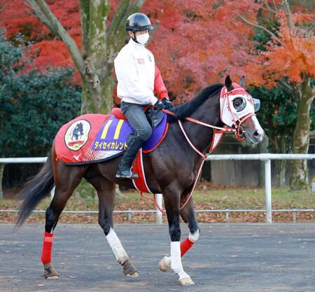 　大外枠からＧ１獲りを目指すタイセイカレント