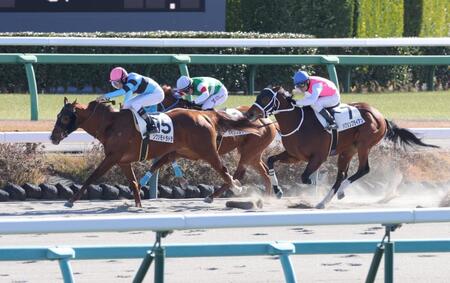 ４Ｒを制したソクヅモドラドラ（左）＝中山競馬場（撮影・西岡正）