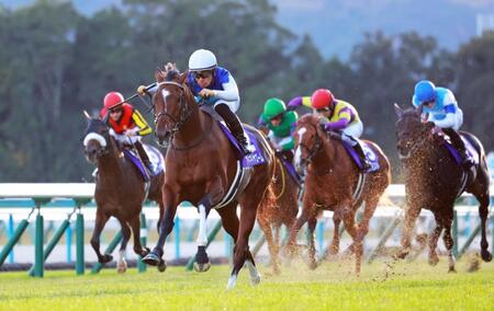 　４角で先頭に並びかけそのまま押し切るアドマイヤズーム（左から２頭目）＝撮影・石湯恒介