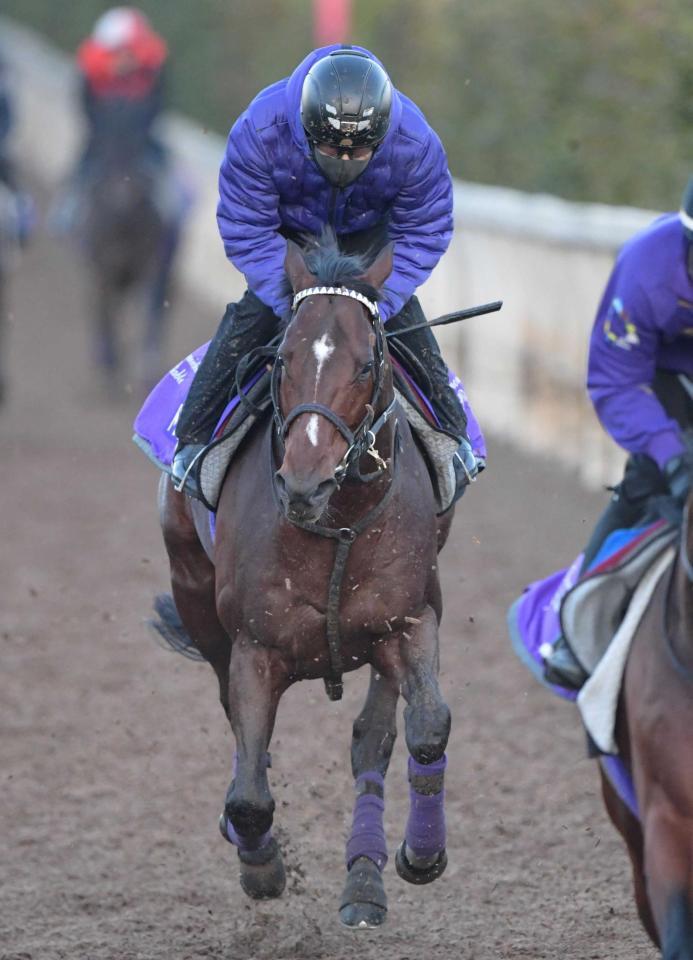 　ラストランへ向けて順調な仕上がりを見せるドウデュース＝撮影・石井剣太郎