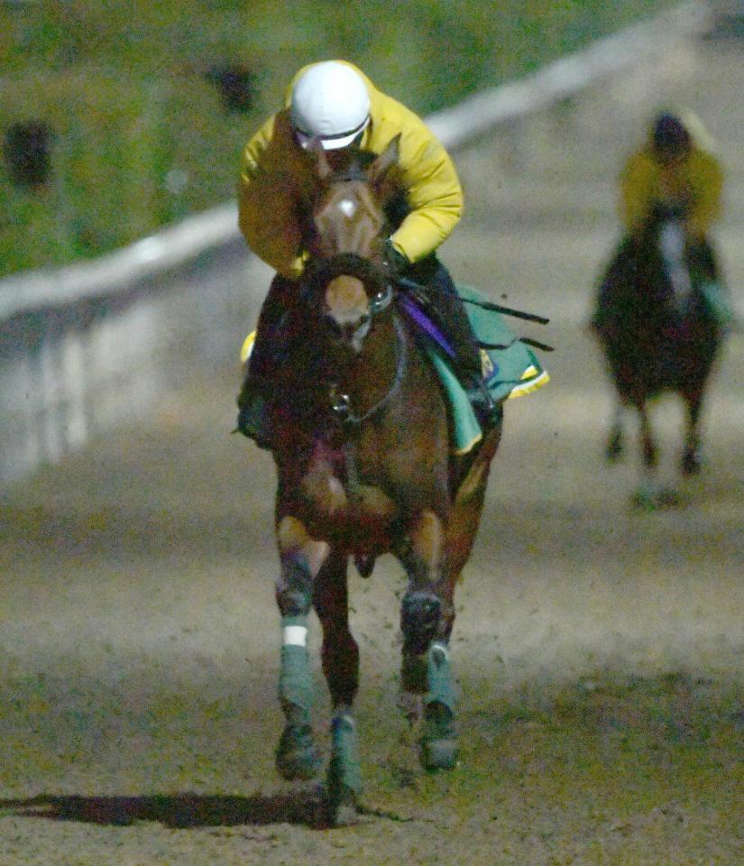 　上村師を背に栗東坂路を軽快に駆け上がったベラジオオペラ（撮影・石井剣太郎）