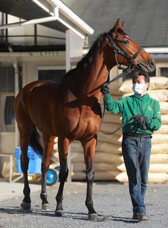 【有馬記念】ベラジオオペラ　内回り合う　月野木助手「全部良くなっている」