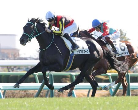 新馬戦を快勝したトリプルコーク（左）