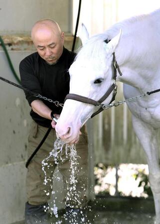 　水を飲むハヤヤッコ（撮影・園田高夫）