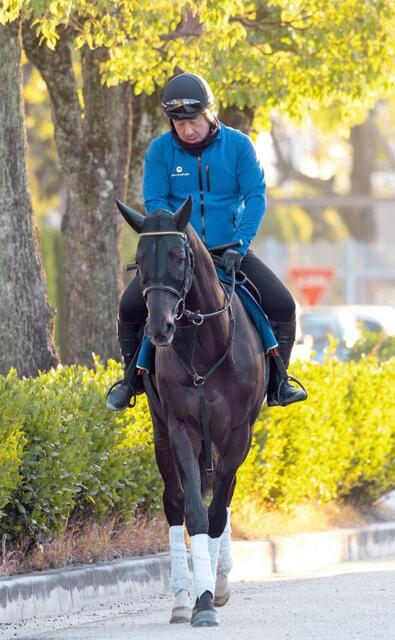 有馬記念】シャフリヤール 21年ダービー馬が底力見せる 藤原師「何を
