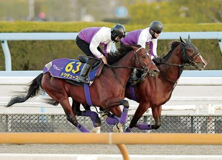 　栗東ＤＰを文句なしの動きで駆け抜けたドウデュース（手前）＝撮影・石井剣太郎