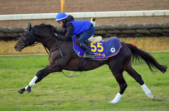 有馬記念】シャフリヤール 躍動感あふれる動き 藤原師も満足「絶好調