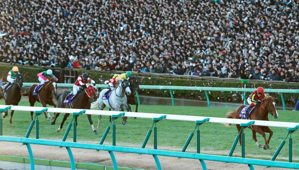 　後続を８馬身突き放す圧勝で有終の美を飾ったオルフェーヴル（右端）＝１３年１２月２２日