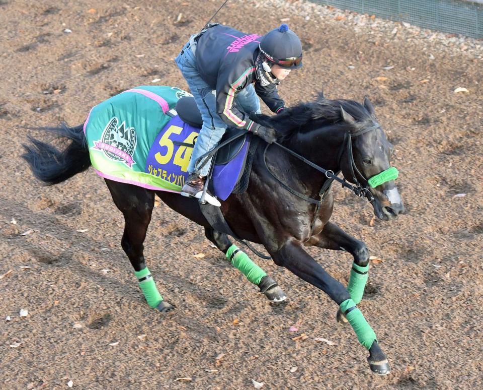 　伸びやかなフットワークで栗東坂路を駆けたジャスティンパレス（撮影・石井剣太郎）